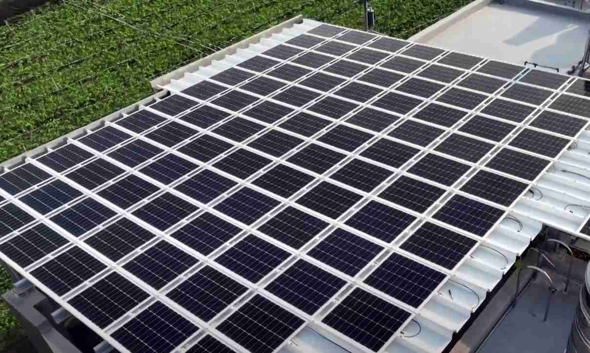 菠菜论坛SunSteel光电浪板升级双玻结构，，，，以提升机械负载强度及气候耐候度，，可广泛运用于多元场域